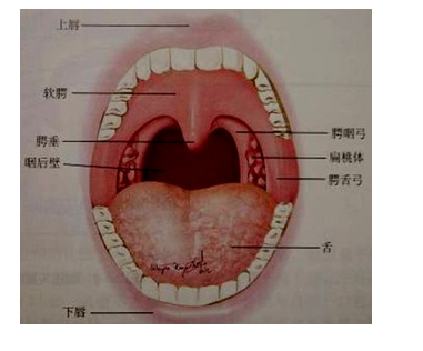 QQ图片20150814140631.png