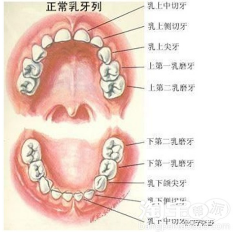 QQ图片20150814140842.png